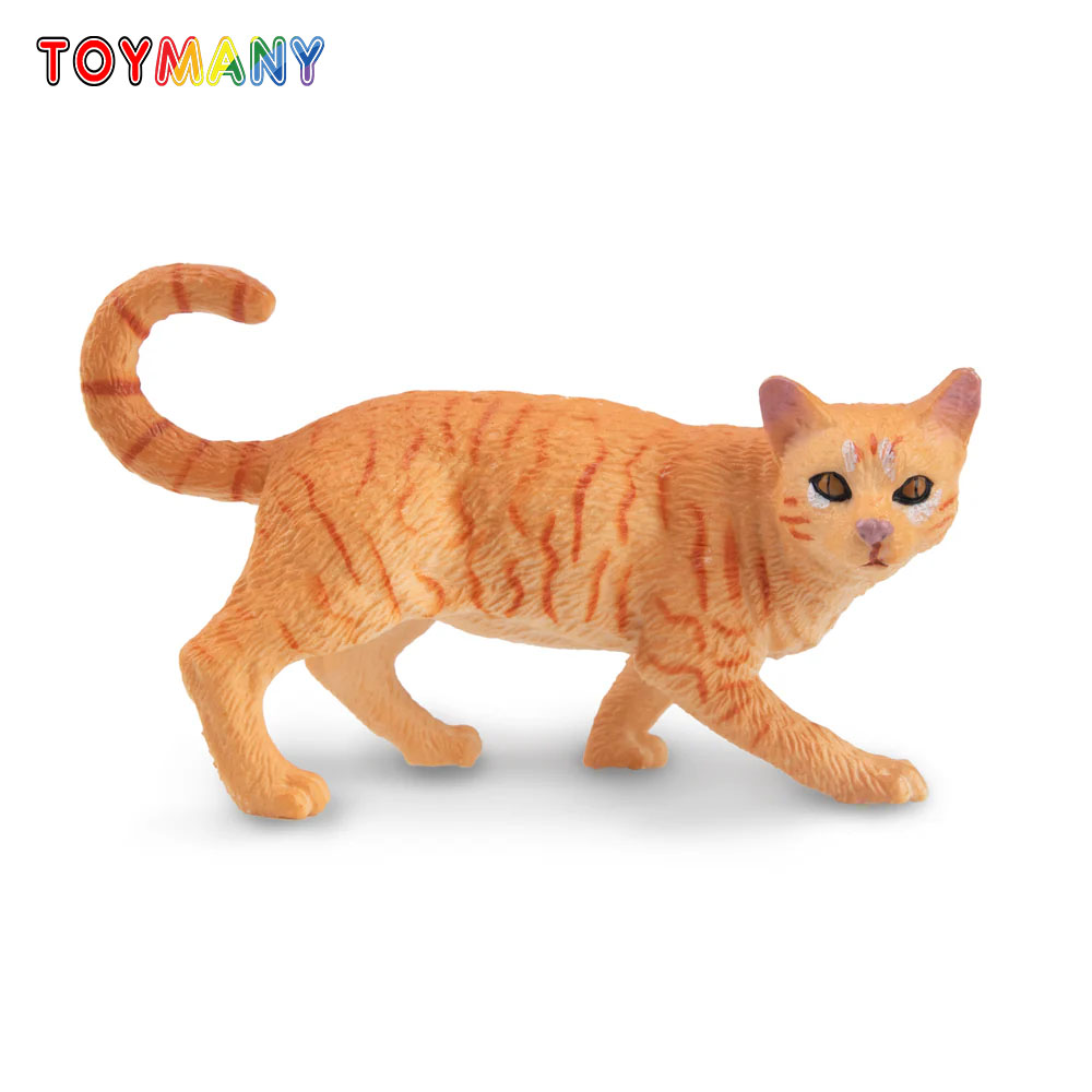 Toymany Simulatie Striding Ora - Kids First Education recensie en prijs