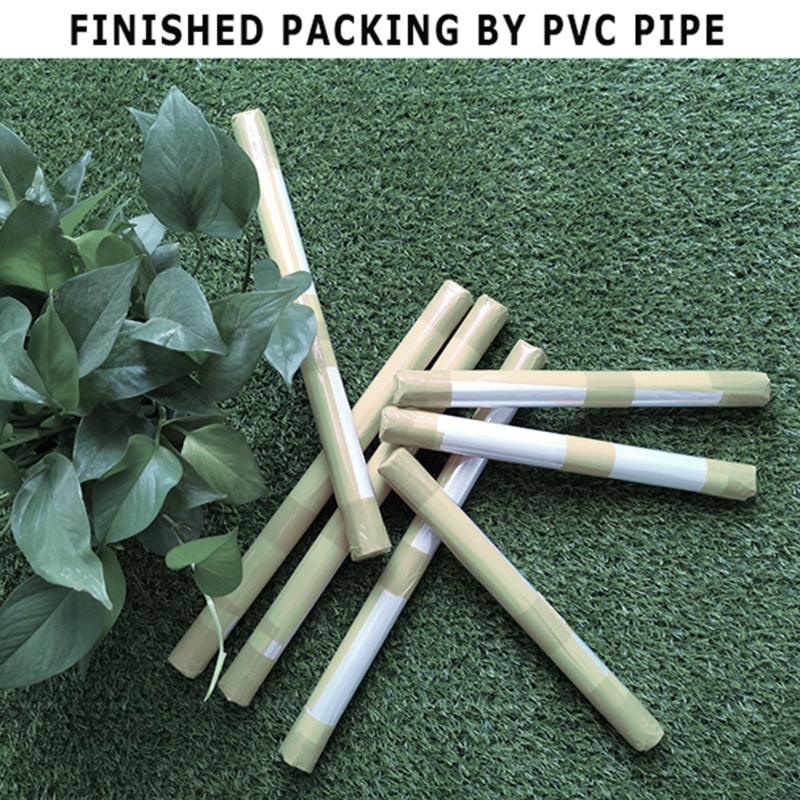 Positieve Kid Classroom Muurfo - Kids Education Motivation recensie en prijs