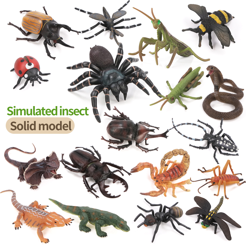 Educatieve simulatie insecten- - Kids First Education recensie en prijs